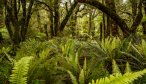 Fly Fishing Lodges New Zealand