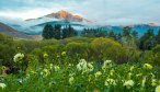 New Zealand Fly Fishing Lodge