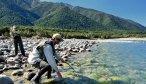 Big brown trout New Zealand fly fishing