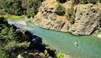 Sight fishing to big brown trout in New Zealand