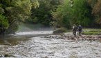Sight fishing to big brown trout in New Zealand