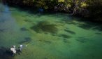 Chile fly fishing trips for big fish