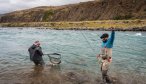 Chile fly fishing