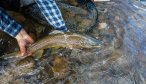 Fly fishing Chile lodge