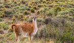 Lodge for Chile fly fishing trip