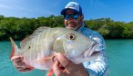 Cuba snapper fishing