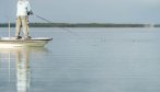 Bonefish in Cuba