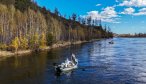 Fly fishing for taimen in Mongolia