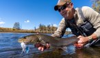 Fly fishing for taimen in Mongolia