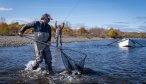 Mongolia fly fishing trips