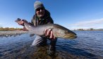 Mongolia fly fishing trips with Montana Angler