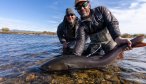 Fly fishing for taimen in Mongolia