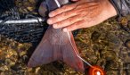 Mongolia fly fishing trips