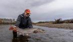 Trophy taimen fly fishing in Mongolia with Montana Angler