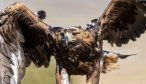 Travel Mongolia fly fishing trips for taimen