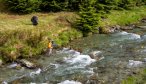 NZ trout river