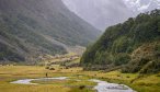New Zealand River Fishing