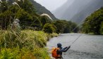 NZ fly fishing