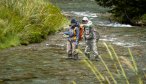 Fishing in New Zealand sight casting