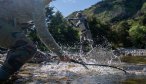 New Zealand fishing