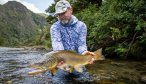 New Zealand Brown Trout