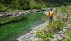 Looking for Trout in NZ