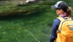 Sight casting in New Zealand