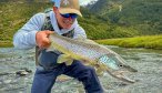 NZ brown trout