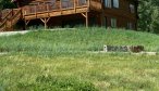 Ennis, MT vacation rental