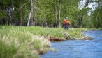 Sweet Grass Creek