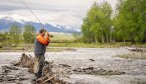 Sweet Grass Creek