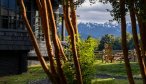 Martin Pescador Lodge on Yelcho