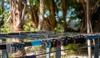 Mayazul lodge in Mexico beach rod rack