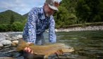 New Zealand fly fishing brown trout