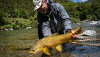 NZ brown trout large