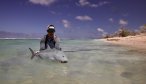 Christmas island fly fishing GT
