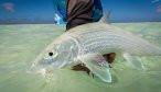 Christmas island fishing bonefish