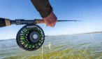 Mexico Fly Fishing