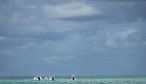 Mexico Fly Fishing
