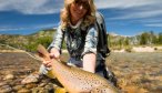 Big brownt trout in Argetina