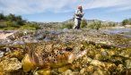 Walk and wade fishing in Argentina