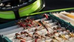 Flies for Argentina