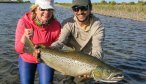 Big brown trout Argentina