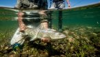 Patagonia Fishing Lodges