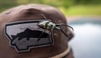 Patagonia Dry Fly Fishing