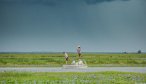 Storm over the marsh