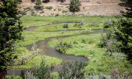 Private streams Montana