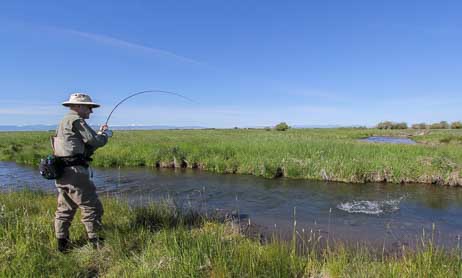 world famous spring creeks Montana