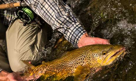 Montana fly fishing packages