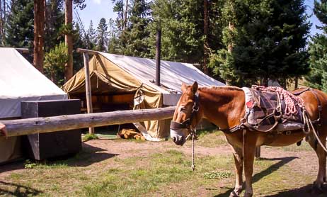 Montana Overnight Fly Fishing Pack Trips